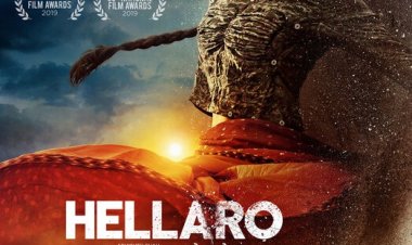 Rajasthan Film Festival: राजस्थान फिल्म फेस्टिवल में शामिल हुईं क्षेत्रीय भाषाओं की बेहतरीन फिल्में