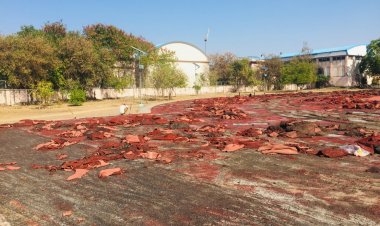 जयपुर में होगा देश का पहला गुलाबी सिंथेटिक रेसिंग ट्रैक, स्विट्जरलैंड से मंगवाया गया है सिंथेटिक मटेरियल 