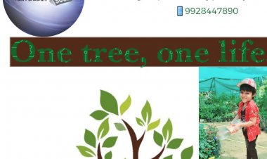 Tree Plantation Campaign: पौधरोपण अभियान: पौधरोपण किया
