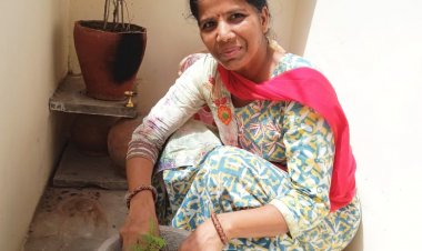 आशा अग्रवाल ने लगाए घर में पौधें, दिया पर्यावरण संरक्षण का संदेश