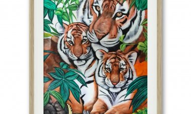 Splash 2023 : स्प्लेश-2023 में दिखेगी भारत के विभिन्न राज्यों के रंगों की हलचल