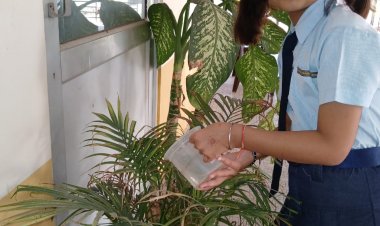 world earth day: चाइल्ड मॉडल भूमि कृष्णिया ने पेड़-पौधों में पानी देकर सेलिब्रेट किया अर्थ डे