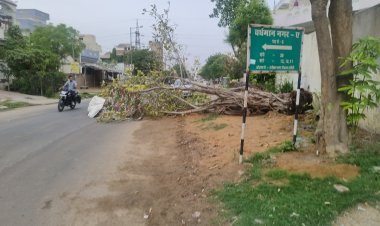 Jaipur weather news: जयपुर में अंधड़, टूटे पेड़