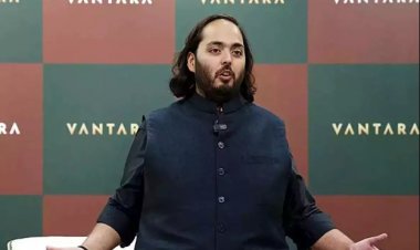 Vanatara appeals: वनतारा की अपील: वन्यजीव संरक्षण के लिए नमीबिया की हत्या योजनाओं को रोका जाए