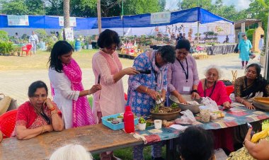 प्लांट्स लवर्स ने सक्युलेंट से सिखा ट्रे गार्डेन बनाना