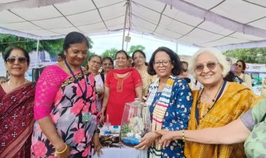 प्लांट्स के लिए लोगों ने पसंद किए कस्टमाइज्ड कवर