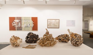 Jaipur Art Week: समुदायों पर प्रभाव, पैमाने, हिंसा और भौतिकता के विषयों पर प्रकाश डाला