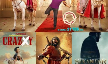 movie Mere Husband Ki Biwi: 'मेरे हसबैंड की बीवी' मूवी का IMDb की सूची में जलवा, टॉप 5 में बनाई जगह!