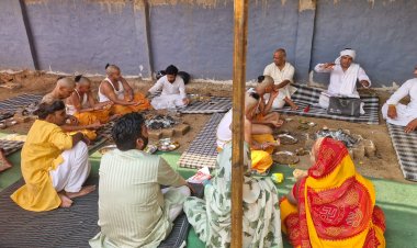 धूमधाम से मनाया द्वितीय पाटोत्सव