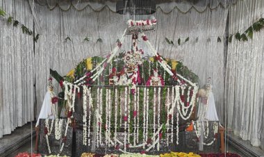 ठाकुर श्रीजी का ज्येष्ठाभिषेक किया