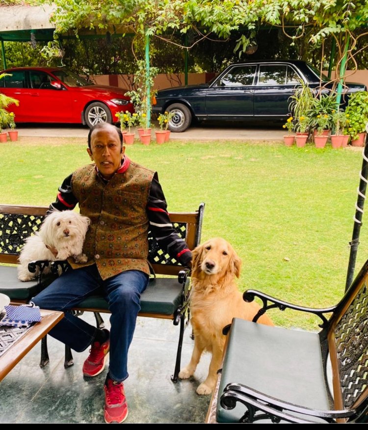 international dog day: लीज़ा और लैला – मेरी जिंदगी का अनमोल हिस्सा"
