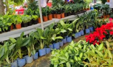 जवाहर कला केन्द्र में तीन दिवसीय गार्डन बाजार 5 सितम्बर से