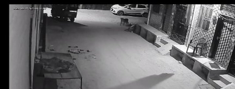 आगरा रोड सूर्य सिटी में लेपर्ड की दस्तक से दहशत, सीसीटीवी में कैद हुआ मूवमेंट