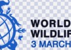 World Wildlife Day2026: Healing Nature, Healing Humanity: United Nations Marks World Wildlife Day 2026 with a Bold Focus on Medicinal & Aromatic Plants