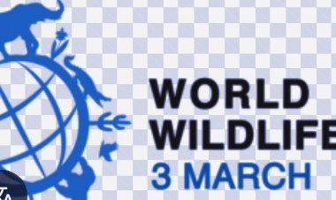 World Wildlife Day2026: Healing Nature, Healing Humanity: United Nations Marks World Wildlife Day 2026 with a Bold Focus on Medicinal & Aromatic Plants