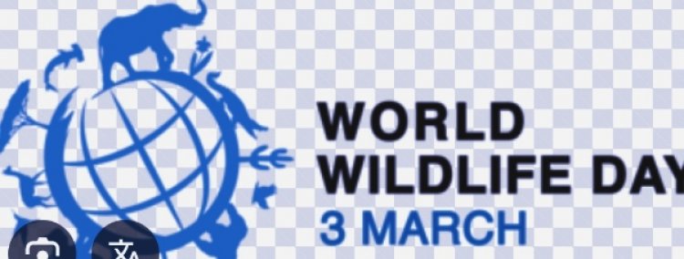 World Wildlife Day2026: Healing Nature, Healing Humanity: United Nations Marks World Wildlife Day 2026 with a Bold Focus on Medicinal & Aromatic Plants