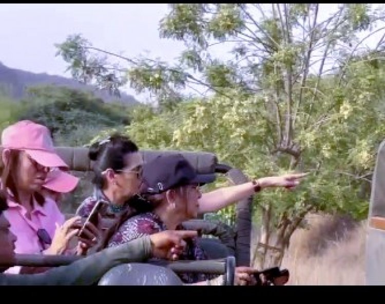 Star-Studded Safari in Jaipur: Suniel Shetty’s Family & Celebrities Spot Leopard ‘Flora’ with Cubs at Jhalana