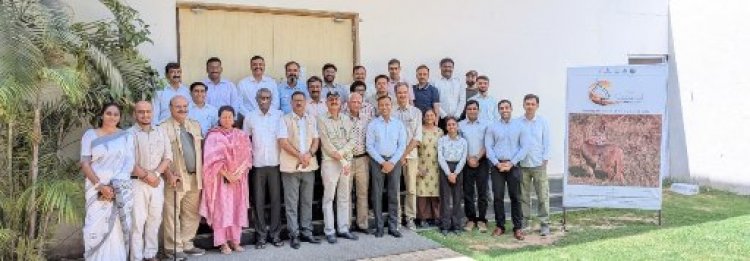 Rajasthan Launches “Project Caracal” to Safeguard Rare Wild Cat Species