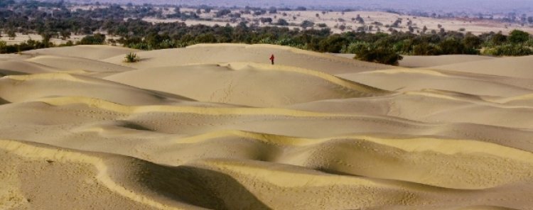  “रेगिस्तान में हरियाली का संकल्प” : जैसलमेर में 3666 हेक्टेयर ओरण भूमि आरक्षित, परंपरा और प्रकृति का अनोखा संगम