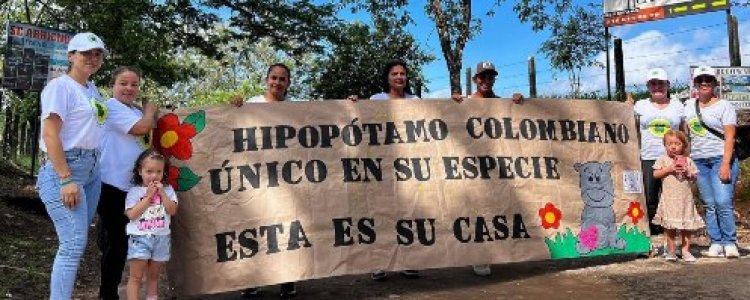 “हर जीवन अनमोल”: अनंत अंबानी की कोलंबिया से 80 दरियाई घोड़ों को बचाने की मानवीय अपील