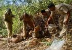 अवैध शराब के खिलाफ प्रदेशभर में बड़ा एक्शन